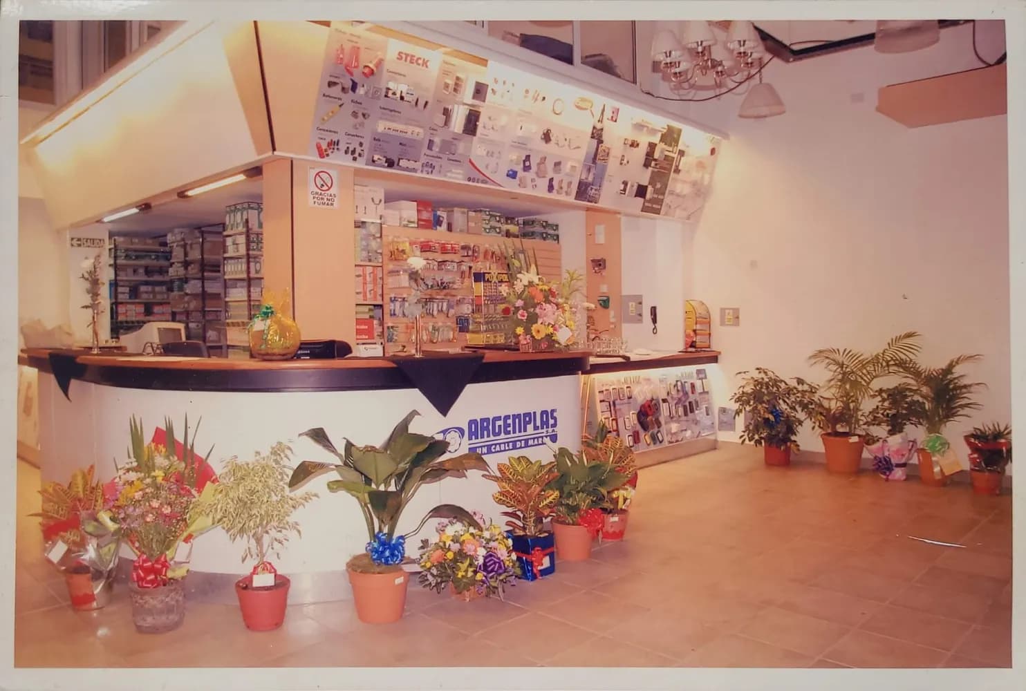 Interior del salón de ventas con las vitrinas de productos y plantas en el piso