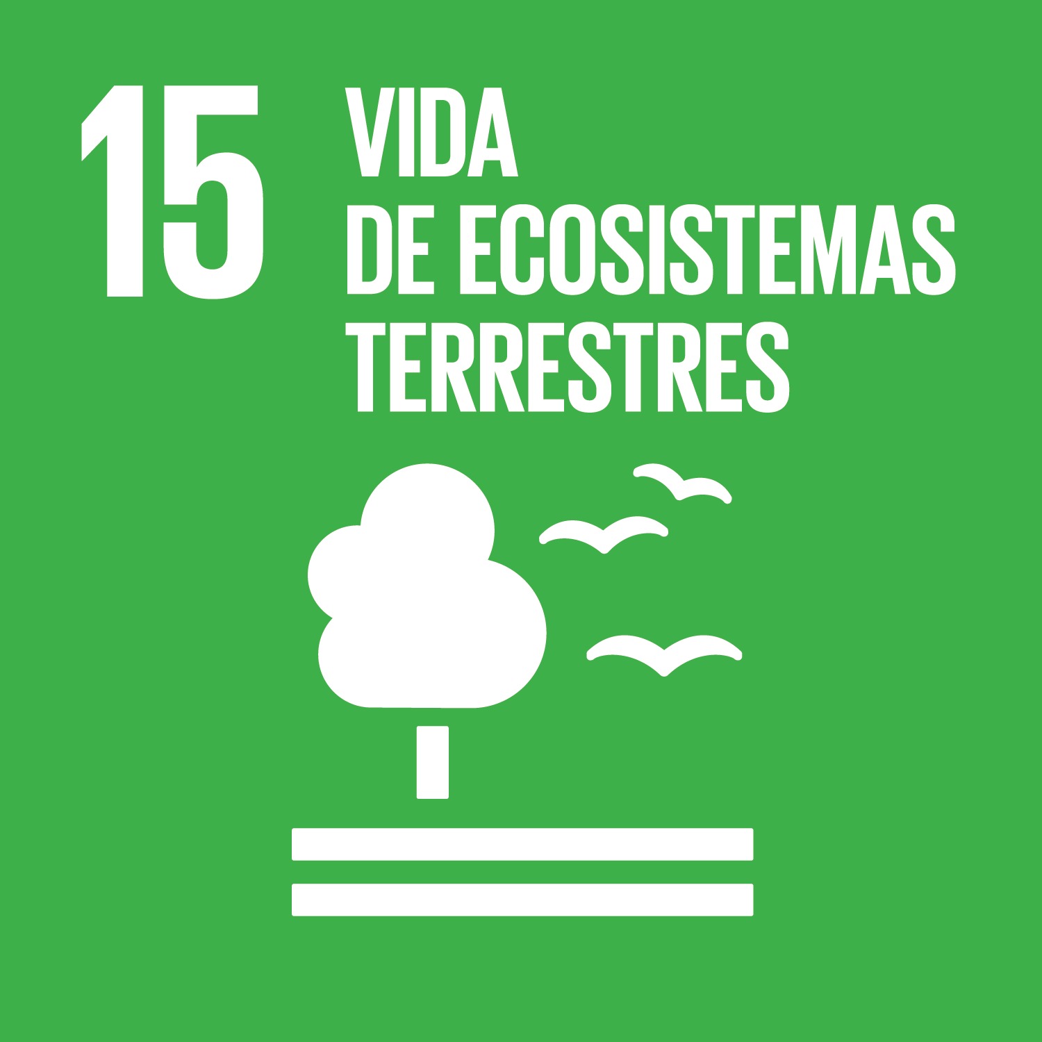 ODS 15: Vida de ecosistemas terrestres ODS 15: Vida de ecosistemas terrestres